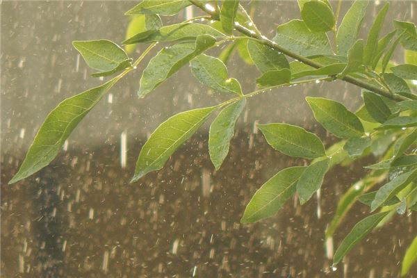 梦见女人下雨是什么意思