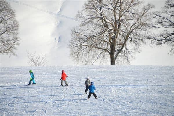 梦见和别人一起滑雪是什么意思