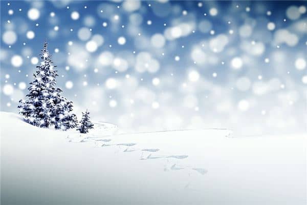 梦见孕妇雪是什么意思