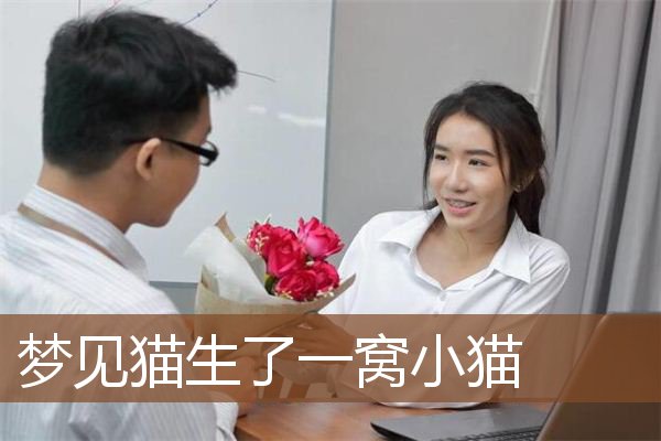猫生了一窝小猫